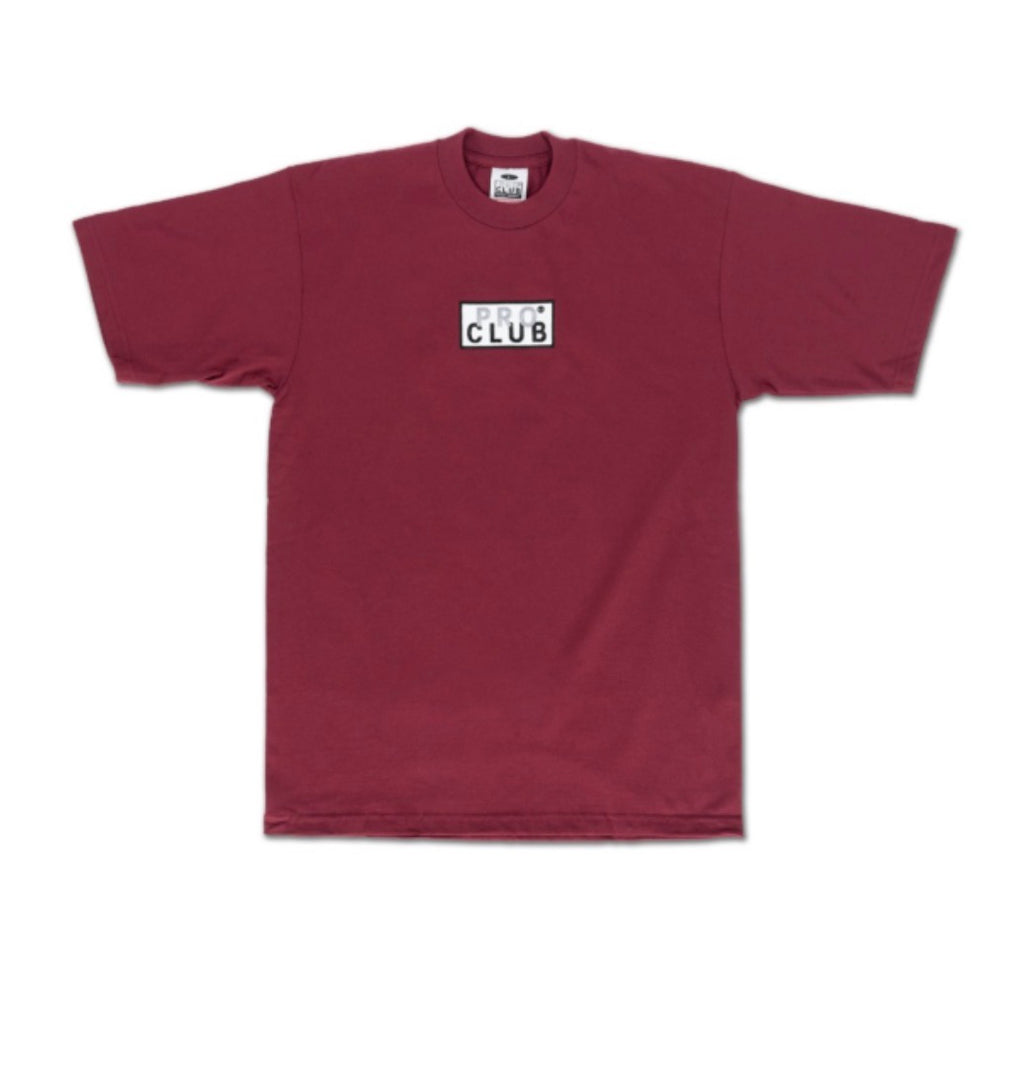 Pro club Embroidered Box Logo Tee