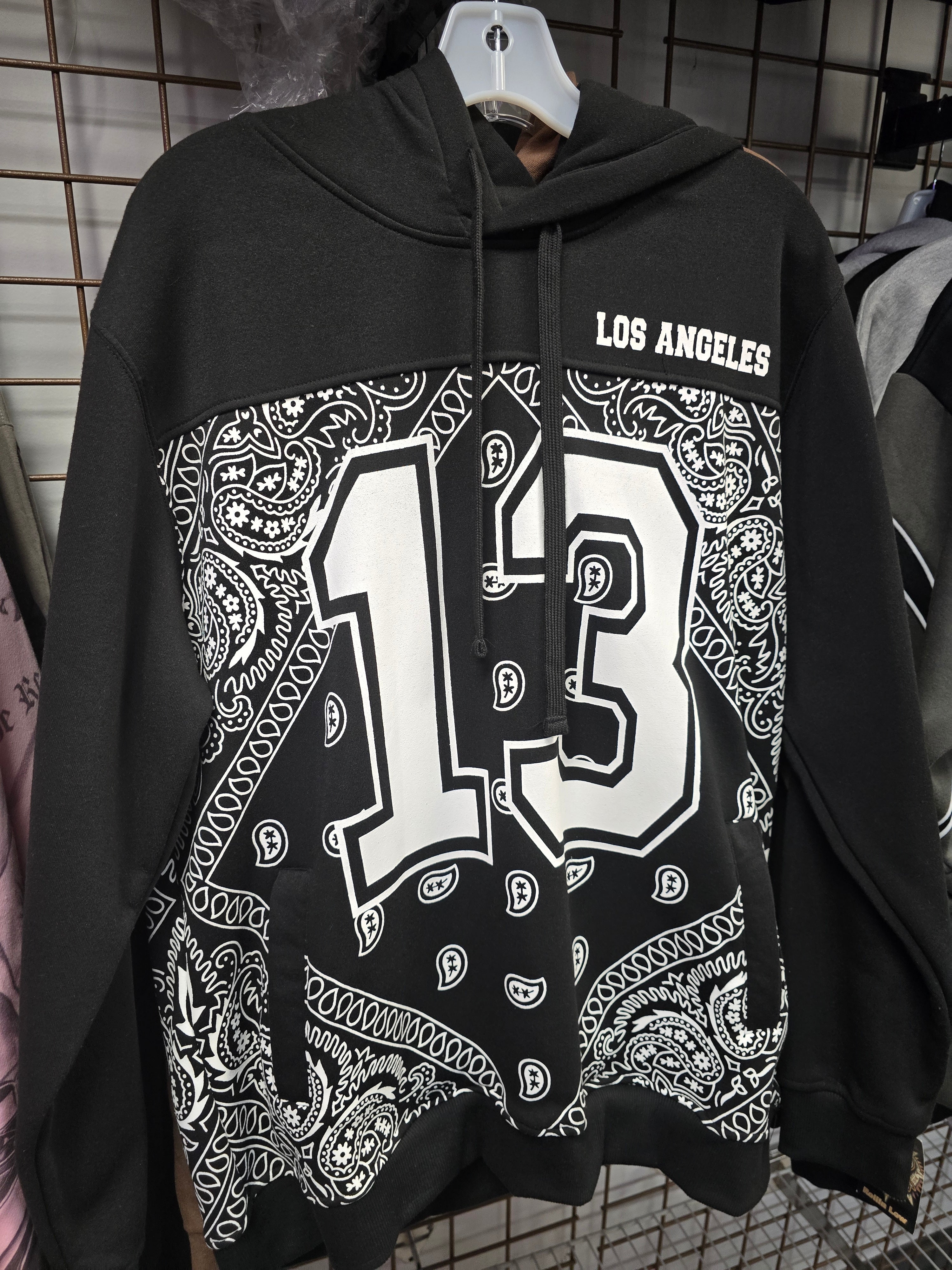 Victorious hoodie